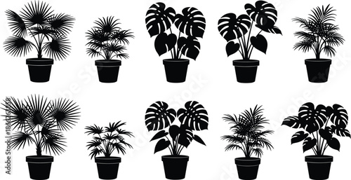 WebBlack tropical houseplant silhouette vector set, monstera palm tree potted plants collection, indoor garden greenery icons, exotic leaf design elements for home decor.