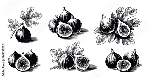 Botanical woodcut style black and white illustrations of fresh figs and fig leaves perfect for food packaging designs, culinary product labels, or healthy eating promotions