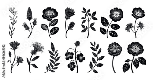 Elegant collection of various natural botanical silhouettes depicting diverse flowers, leaves, and organic plant stems in a classic linocut style, ideal for graphic design, branding, and