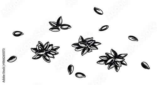 Hand drawn black and white seeds scattered and grouped in a natural style perfect for organic food branding, culinary publications, or healthy living promotions.