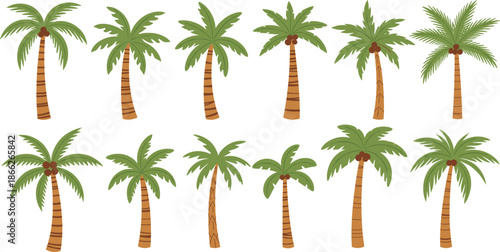 Palm tree collection featuring flat vector designs of tropical coconut palms with green fronds and brown trunks for summer beach vacation design.