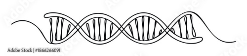 Minimalist continuous line drawing of a DNA double helix representing genetics and scientific innovation for educational content and healthcare presentations.