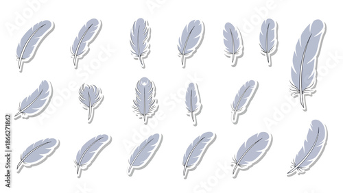 Collection of purple feathers.