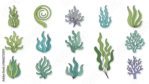 A vibrant collection of diverse underwater seaweed illustrations, featuring various aquatic plants and marine flora designs perfect for ocean-themed projects and natural environment concepts