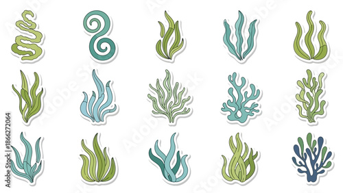 Seaweed ocean plant green.