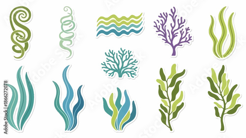 Set of colorful vector icons depicting various types of seaweed and ocean plants in flat design style