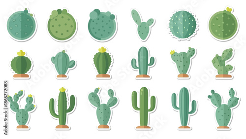 Variety of Cactus Plants.