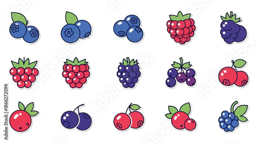 Variety of Berries and Cherries.