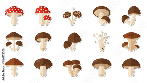 Variety of Mushroom Species Displayed.