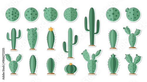 Various Cactus Plants Illustration.