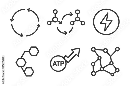 Metabolic Pathway Icons. Line style icons of Metabolic Pathways: circular pathway diagram, molecule exchange arrows, energy