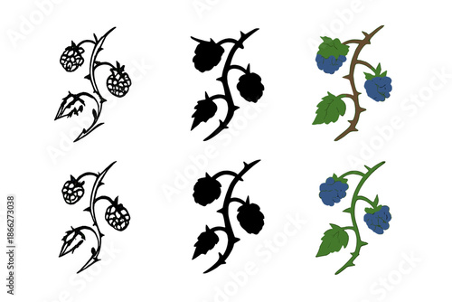 Blackberry Bramble Styles. Blackberry bramble twisting with sharp points and tiny berries, simple minimal vector illustration,
