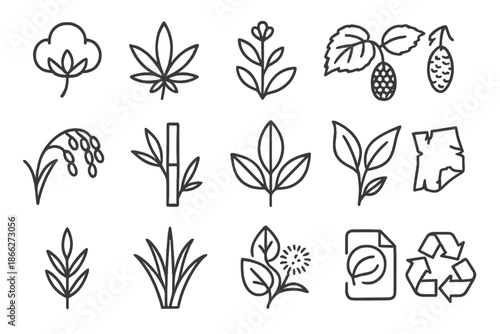 Paper Fiber Icons. Line style icons of paper fibers: cotton, hemp, flax, mulberry; rice straw, bamboo, jute, rag; linen, esparto,