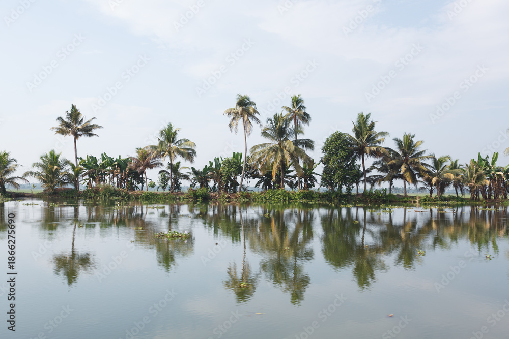 Obraz premium Fahrt mit der öffentlichen Fähre durch die Backwaters, Palmen, Ufer, hitner den Palmen Reisfelder, Südindien, Kerala, Backwaters, Kottayam,