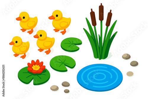 Duck Pond Scene. Isometric vector illustration set Duck Pond Reed: duckling group, tall pond reeds, water lilies, floating leaves,