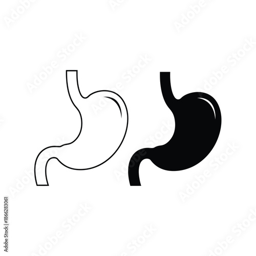 Vector illustration icon black and white illustration of human stomach anatomy in two styles