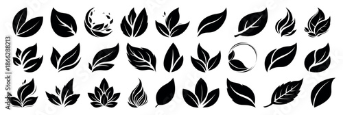 Leaf vector icons on transparent background. Eco leaf logo. Simple linear leaves of trees and plants. Elements for eco friendly and bio logo, vegan. Black silhouette leaves collection. Ecology element