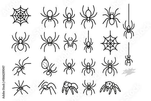 Spider Icons Collection. Line style icons of spiders: web spinner, crawling spider, orb-weaver, tarantula, jumping spider,