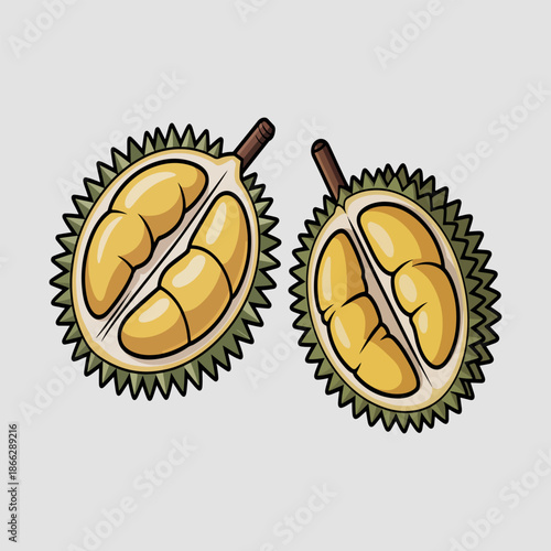 Open durian fruit vector illustration with yellow pulp and thorny shell isolated on grey background