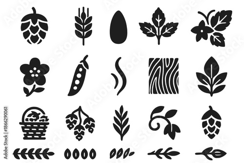 Hop and Malt Icons. Solid style icons of Hop and malt design: hop cone, barley head, wheat grain, leaf cluster, hop flower, seed