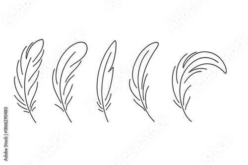 Line Style Plume Icons. Line style icons of Light Plumes: airy plume, soft curve, thin quill, delicate barb shape, loose feather