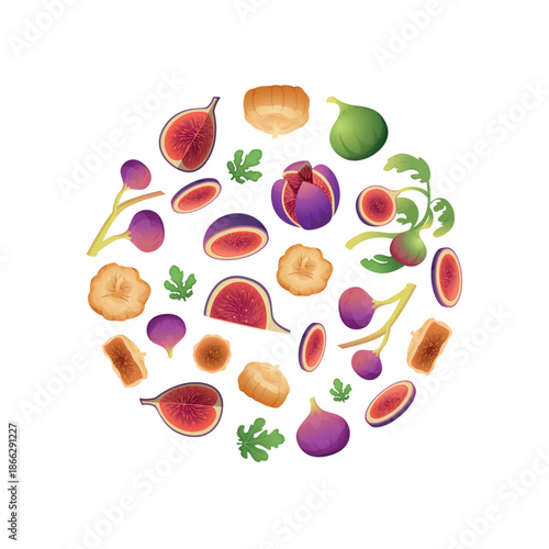 Fig tree. round shape background with juicy fruits of fig tree