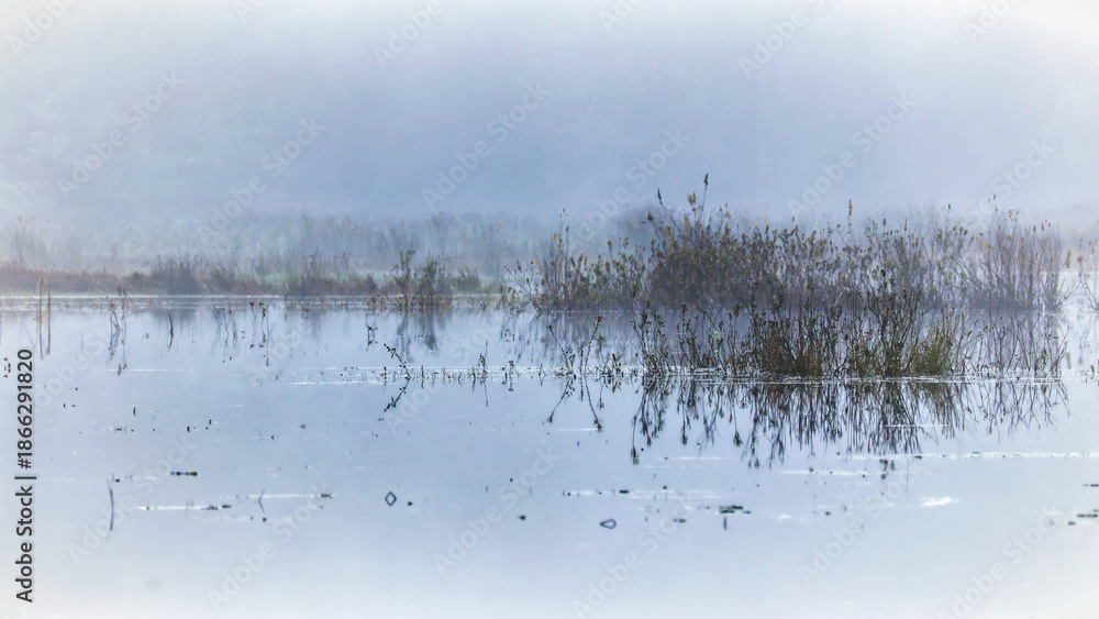 Αυτοκόλλητο A calm Silver Lake is shrouded in mist, creating a serene and tranquil atmosphere