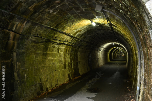 伊世賀美隧道（旧伊勢神トンネル）