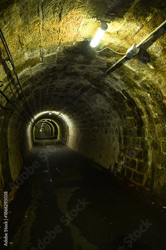 伊世賀美隧道（旧伊勢神トンネル）