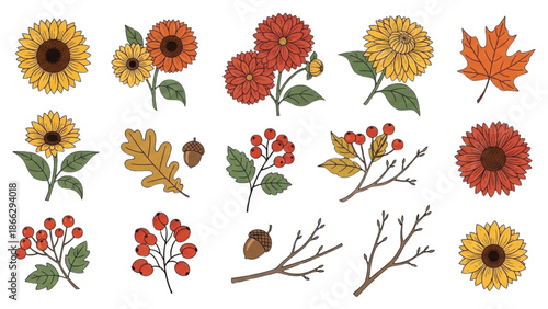 A collection of autumn-themed illustrations featuring flowers, leaves, and branches on a white background