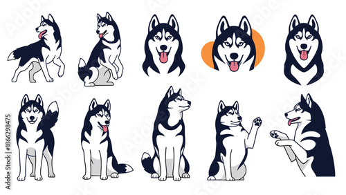 Detailed set of ten Siberian Husky illustrations featuring various poses, headshots, and playful expressions for design.