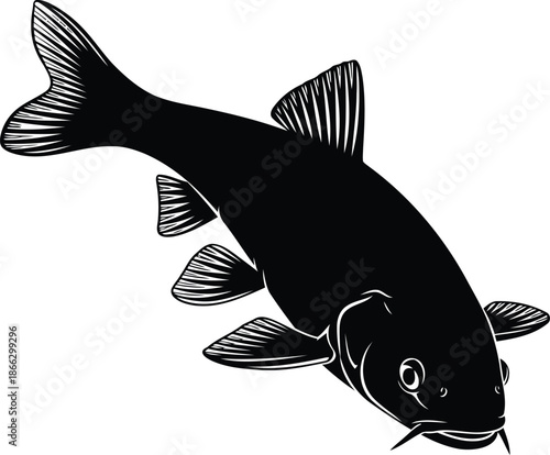 A black silhouette illustration of a freshwater carp fish