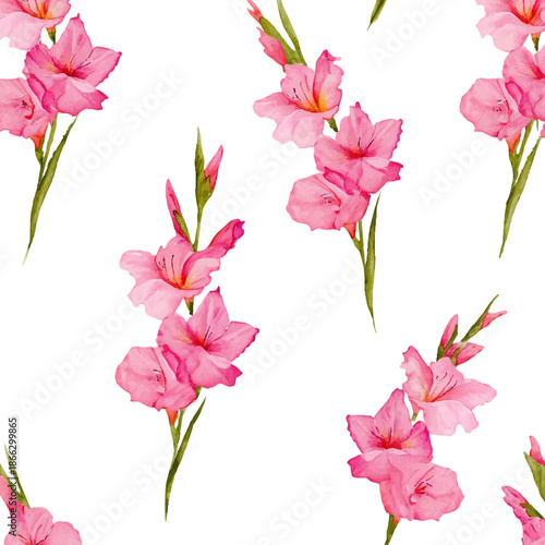 Pink gladiolus flowers forming a seamless watercolor pattern, creating a vibrant floral background, transparent for easy layering and design use