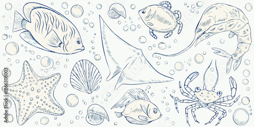 Sketch of various marine life fish crab starfish and other sea creatures