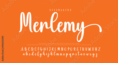 Elegant Script Font Alphabet Typography 