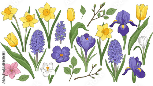 Spring Flower Vector Collection. Cheerful Floral Set: Tulip, Daffodil, Iris, Hyacinth isolated on transparent background. Graphic Resource for Easter and Mother's Day