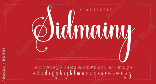 
Script Elegant Signature Typeface. Lettering signature font isolated on grey background. brus style alphabet. Vector logo letters. 