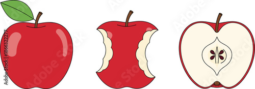 Red Apple Stages Illustration Showing Whole Fruit, Bitten Apple, and Cross Section Flat Vector Design for Food Concepts and Educational Graphics