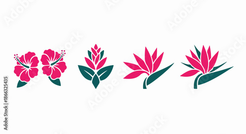 Four Different Pink Flower Illustrations.