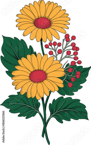 Vibrant yellow gerbera daisy flower bouquet illustration with red berries detailed botanical drawing for spring floral designs summer greeting cards nature themed backgrounds and wedding invitation te