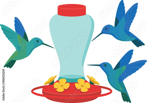Colorful hummingbird birds flying to red feeder with nectar flowers vector illustration adorable wildlife scene for garden nature conservation educational resources avian biodiversity and outdoor anim