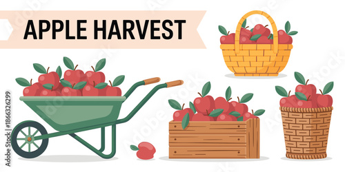 Fresh Red Apple Harvest in Wheelbarrow Baskets and Wooden Box Vector Illustration Ripe Fruit Gathering Orchard Farm Agriculture Produce Local Market Food and Beverage Design Healthy Eating Seasonal Au