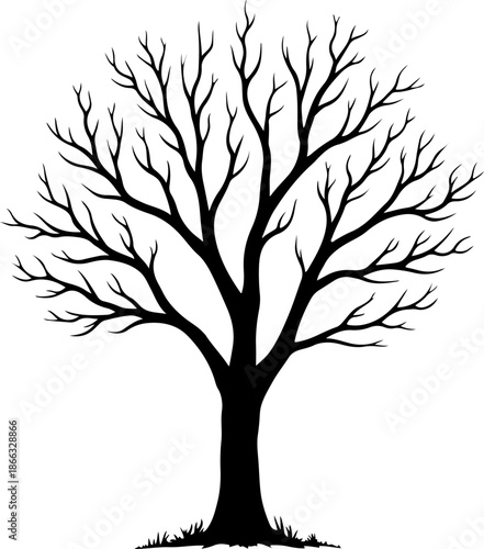 Bare Tree Silhouette with Spreading Branches

Leafless Tree Black Silhouette Illustration

Winter Tree with Roots and Branches