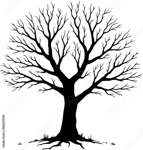 Bare Tree Silhouette with Spreading Branches

Leafless Tree Black Silhouette Illustration

Winter Tree with Roots and Branches