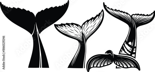 Stylized whale tail vector illustration, abstract marine animal flukes in black and white, minimalist ocean wildlife silhouettes for nautical design, branding, and conservation themes