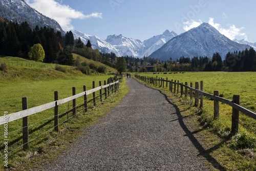 Kalkofenweg, snow-covered Allgäu Alps in the background, near Oberstdorf, Oberallgäu, Allgäu, Bavaria, Germany