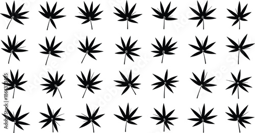 Cannabis leaf silhouette collection set with multiple marijuana hemp leaves botanical plant shapes black vector illustration
