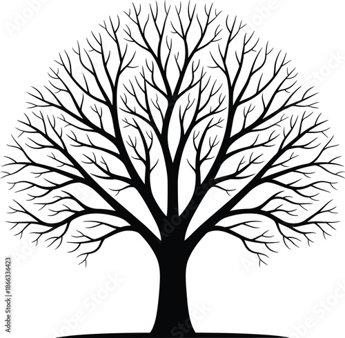 Bare tree silhouette with spreading branches nature symbol winter forest botanical vector illustration isolated white background design