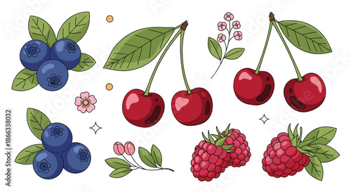 Sweet berry illustration set includes clusters of blue blueberries red cherries and raspberries with green leaves and blossoms.