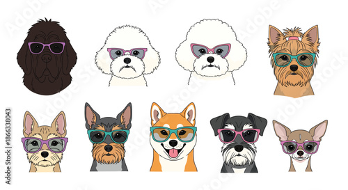 Trendy collection of various dog heads wearing colorful and fashionable sunglasses including breeds like shiba inu and schnauzer.